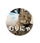 子供達の言葉集にゃ！（個別スタンプ：3）