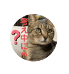 子供達の言葉集にゃ！（個別スタンプ：6）