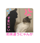 子供達の言葉集にゃ！（個別スタンプ：9）