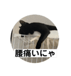 子供達の言葉集にゃ！（個別スタンプ：10）