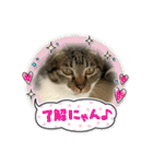 子供達の言葉集にゃ！（個別スタンプ：13）
