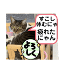 子供達の言葉集にゃ！（個別スタンプ：14）