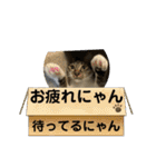 子供達の言葉集にゃ！（個別スタンプ：15）