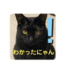 子供達の言葉集にゃ！（個別スタンプ：16）