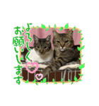 子供達の言葉集にゃ！（個別スタンプ：19）