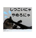 子供達の言葉集にゃ！（個別スタンプ：21）