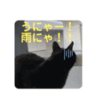 子供達の言葉集にゃ！（個別スタンプ：23）