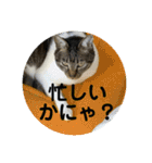 子供達の言葉集にゃ！（個別スタンプ：26）
