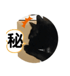 子供達の言葉集にゃ！（個別スタンプ：38）