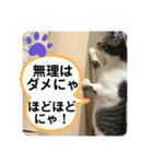 子供達の言葉集にゃ！（個別スタンプ：40）