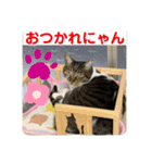 りあたんの言葉にゃ！（個別スタンプ：5）