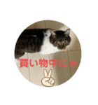 りあたんの言葉にゃ！（個別スタンプ：16）