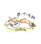 しっぽ隊（個別スタンプ：1）