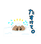 しいたけとフレンズの冬のスタンプ（個別スタンプ：12）