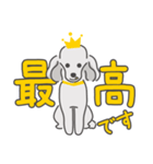 シルバープードルの日常。（個別スタンプ：1）