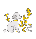シルバープードルの日常。（個別スタンプ：4）