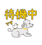 シルバープードルの日常。（個別スタンプ：5）