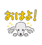 シルバープードルの日常。（個別スタンプ：8）
