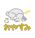 シルバープードルの日常。（個別スタンプ：9）
