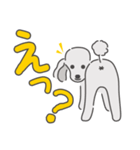 シルバープードルの日常。（個別スタンプ：10）