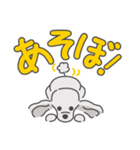シルバープードルの日常。（個別スタンプ：15）