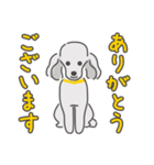 シルバープードルの日常。（個別スタンプ：16）