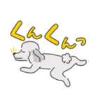 シルバープードルの日常。（個別スタンプ：17）