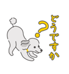 シルバープードルの日常。（個別スタンプ：19）