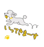 シルバープードルの日常。（個別スタンプ：23）