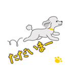 シルバープードルの日常。（個別スタンプ：24）