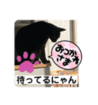 くろすけとありたんのスタンプ（個別スタンプ：1）