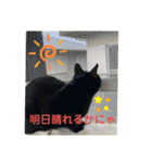 くろすけとありたんのスタンプ（個別スタンプ：2）