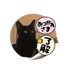 くろすけとありたんのスタンプ（個別スタンプ：4）