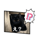 くろすけとありたんのスタンプ（個別スタンプ：8）