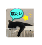 くろすけとありたんのスタンプ（個別スタンプ：11）