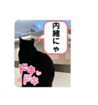 くろすけとありたんのスタンプ（個別スタンプ：13）