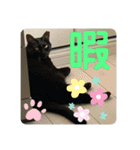 くろすけとありたんのスタンプ（個別スタンプ：15）