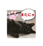 くろすけとありたんのスタンプ（個別スタンプ：18）