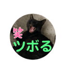 くろすけとありたんのスタンプ（個別スタンプ：19）