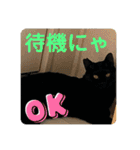 くろすけとありたんのスタンプ（個別スタンプ：20）