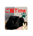 くろすけとありたんのスタンプ（個別スタンプ：21）