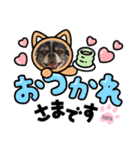 センタ君のスマイルスタンプ（個別スタンプ：3）