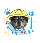 センタ君のスマイルスタンプ（個別スタンプ：5）