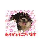 センタ君のスマイルスタンプ（個別スタンプ：14）