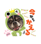センタ君のスマイルスタンプ（個別スタンプ：19）
