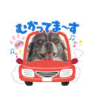 センタ君のスマイルスタンプ（個別スタンプ：20）