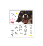 センタ君のスマイルスタンプ（個別スタンプ：22）