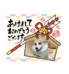 お正月だねー（個別スタンプ：8）