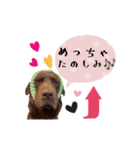 ずんずん茶ラブのあんず❤️（個別スタンプ：6）