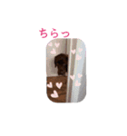 ずんずん茶ラブのあんず❤️（個別スタンプ：20）
